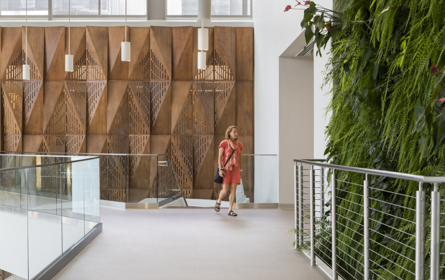 Environmental, Social and Governance